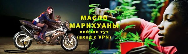 мдпв Бородино