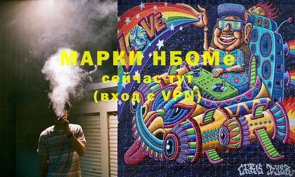 мдпв Бородино